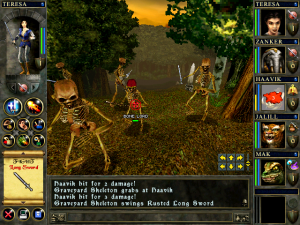 Wizards & Warriors 8
