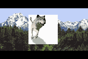 Wolf abandonware