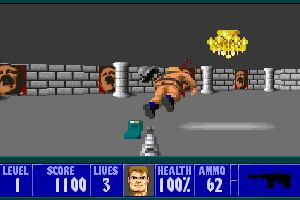 Wolfenstein 3D 4