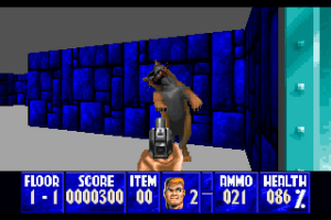 Wolfenstein 3D abandonware