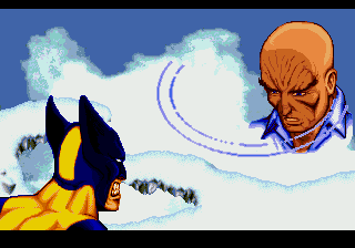 Wolverine: Adamantium Rage 13