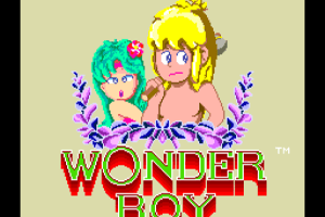 Wonder Boy 0
