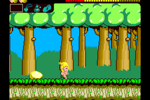 Wonder Boy 2