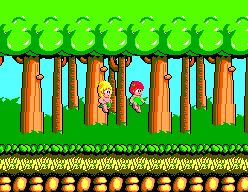 Wonder Boy 3