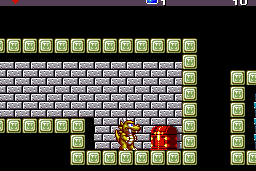 Wonder Boy III: The Dragon's Trap 13