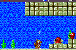 Wonder Boy III: The Dragon's Trap 15