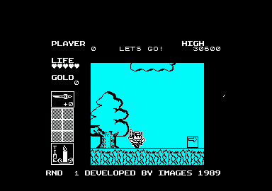 Wonder Boy in Monster Land abandonware