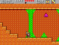 Wonder Boy in Monster Land 9