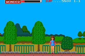Wonder Momo 5