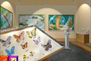 Word Play: Museum 2