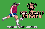 World Class Soccer abandonware