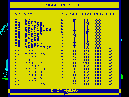 World Cup Challenge abandonware