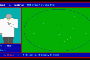 World Cup Cricket 0