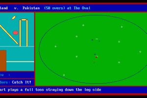World Cup Cricket 2