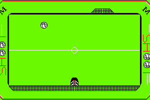 World Cup Soccer 8