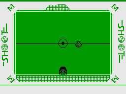 World Cup Soccer 14