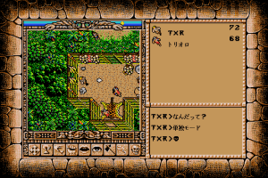Worlds of Ultima: The Savage Empire 5