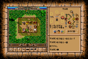 Worlds of Ultima: The Savage Empire 8