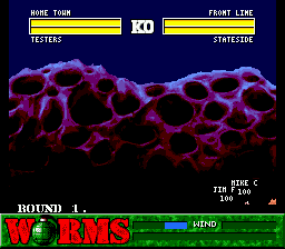 worms reloaded black screen worms reloaded black screen