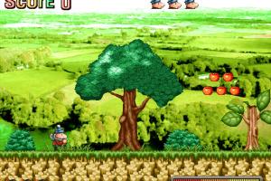 Wow!! We Did It, Pat & Mat! abandonware