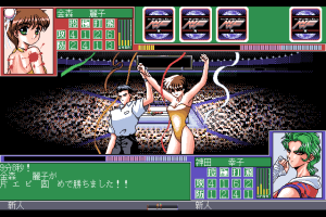 Wrestle Angels 3 abandonware