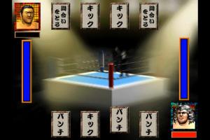 Wrestle Life 3
