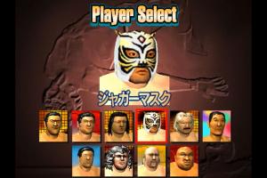 Wrestle Life 1
