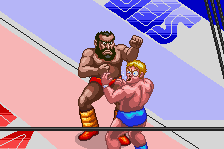 Wrestle War 17