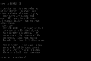 Wumpus II 0