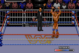 WWF Rage in the Cage 9