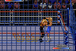 WWF Rage in the Cage 10