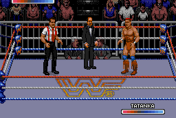 WWF Rage in the Cage 5