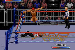 WWF Rage in the Cage 6