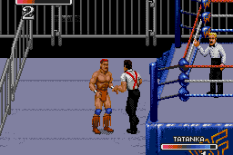 WWF Rage in the Cage 7