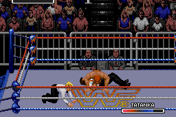 WWF Rage in the Cage 8