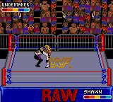 WWF Raw abandonware