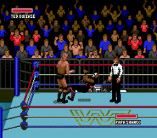 WWF Super WrestleMania abandonware