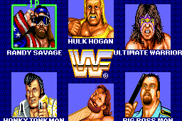 WWF SuperStars 1