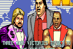 WWF SuperStars 2