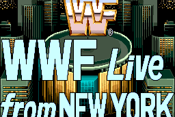 WWF SuperStars 3