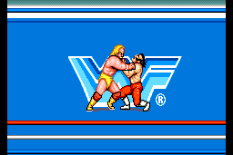 WWF SuperStars 5