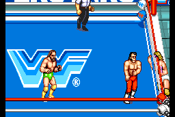 WWF SuperStars 6