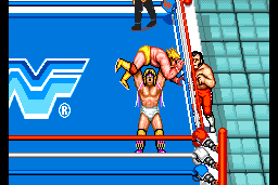 WWF SuperStars 8