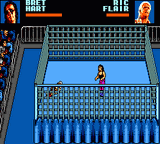 WWF Wrestlemania: Steel Cage Challenge 2