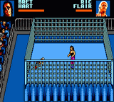 WWF Wrestlemania: Steel Cage Challenge abandonware