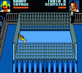 WWF Wrestlemania: Steel Cage Challenge 5