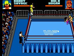 WWF Wrestlemania: Steel Cage Challenge 10