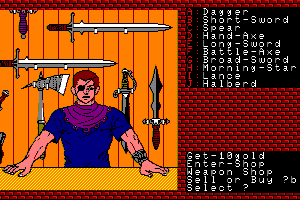 Xanadu: Dragon Slayer II abandonware