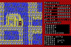 Xanadu: Dragon Slayer II 4