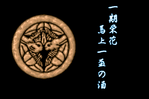 Zan II: Towns Special 2